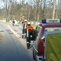 2011-15_2.jpg