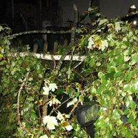 2009-10_3.jpg